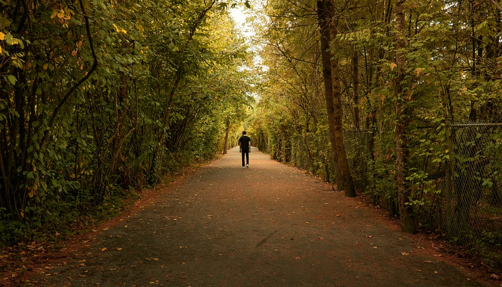 Pessoa a caminhar sozinha num caminho na natureza, representando desenvolvimento pessoal apoio e psicologia para adultos